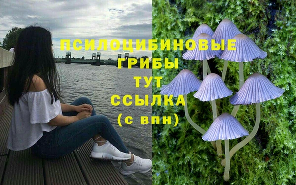 трава Абаза