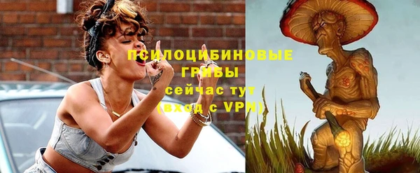 трава Абаза