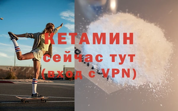 трава Абаза