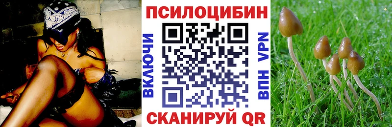kraken tor Топки Псилоцибиновые грибы мухоморы продажа наркотиков