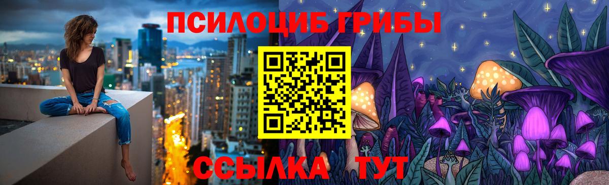 Галлюциногенные грибы Psilocybe Топки