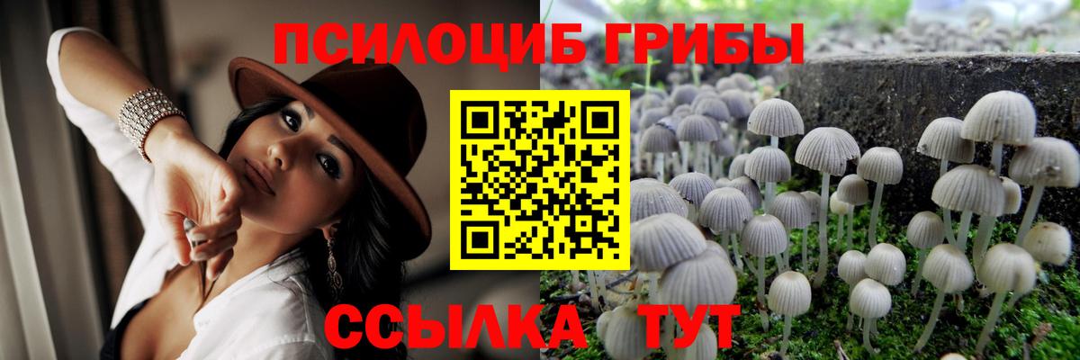 Галлюциногенные грибы GOLDEN TEACHER  Вход с VPN  Топки 